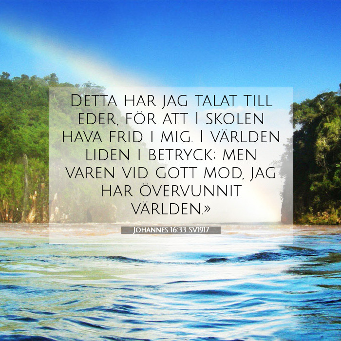 Johannes 16:33 Bibelkommentar