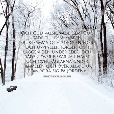 1 Mosebok 1:28 SV1917 Bild av bibelvers