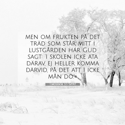 1 Mosebok 3:3 Bibelvers Förklarad