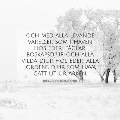 1 Mosebok 9:10 Bibelvers Förklarad
