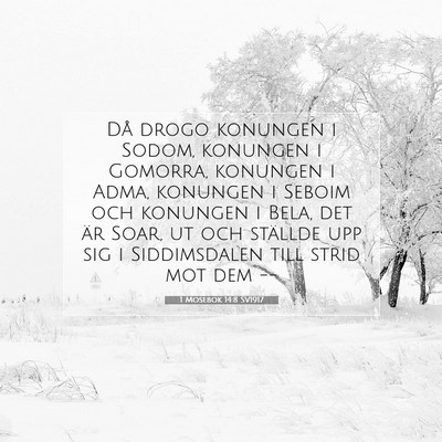 1 Mosebok 14:8 Bibelvers Förklarad