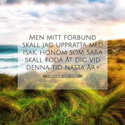 1 Mosebok 17:21 SV1917 Bild av bibelvers