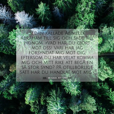 1 Mosebok 20:9 Bibelvers Förklarad