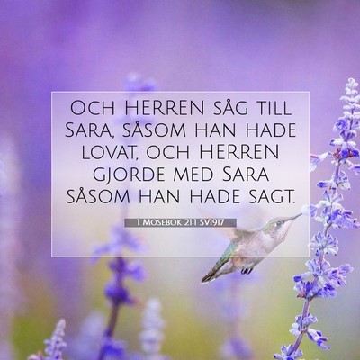 1 Mosebok 21:1 SV1917 Bild av bibelvers