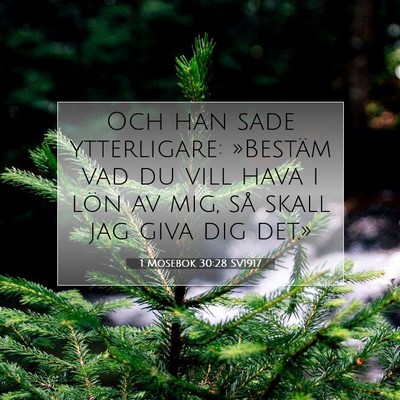 1 Mosebok 30:28 Bibelvers Förklarad