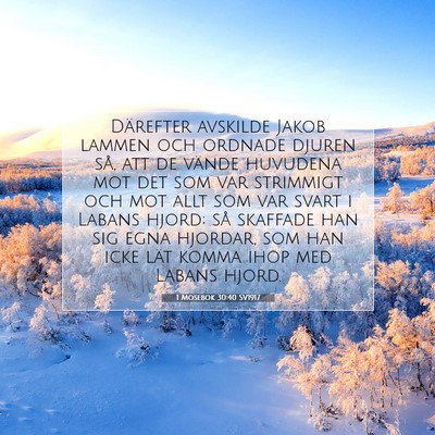 1 Mosebok 30:40 Bibelvers Förklarad