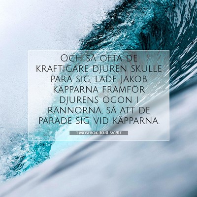 1 Mosebok 30:41 Bibelvers Förklarad