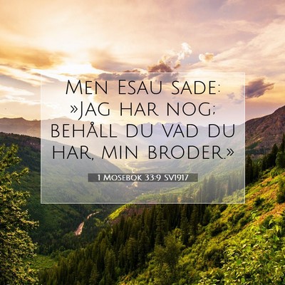 1 Mosebok 33:9 Bibelvers Förklarad