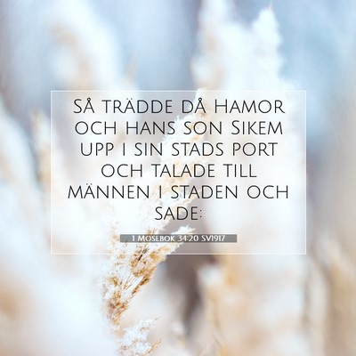 1 Mosebok 34:20 Bibelvers Förklarad