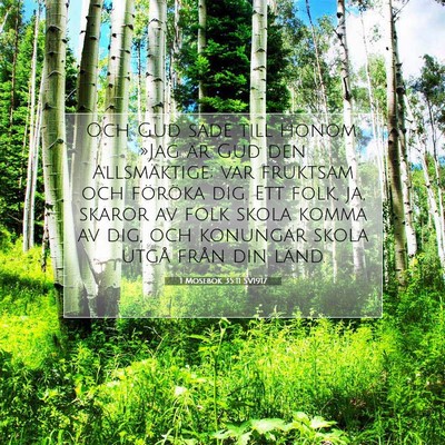 1 Mosebok 35:11 SV1917 Bild av bibelvers