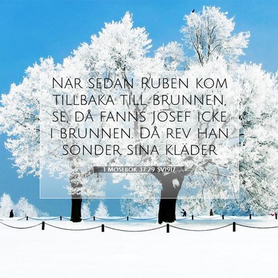 1 Mosebok 37:29 Bibelvers Förklarad