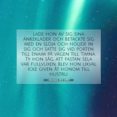 1 Mosebok 38:14 Bibelvers Förklarad
