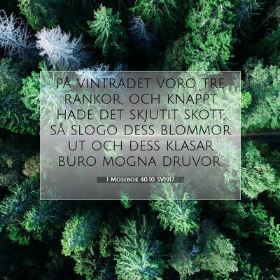 1 Mosebok 40:10 Bibelvers Förklarad