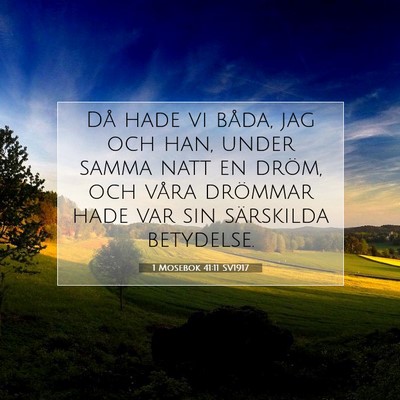 1 Mosebok 41:11 Bibelvers Förklarad