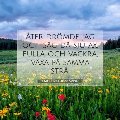 1 Mosebok 41:22 Bibelvers Förklarad