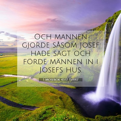 1 Mosebok 43:17 Bibelvers Förklarad