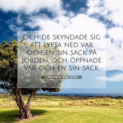 1 Mosebok 44:11 Bibelvers Förklarad