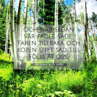 1 Mosebok 44:25 Bibelvers Förklarad