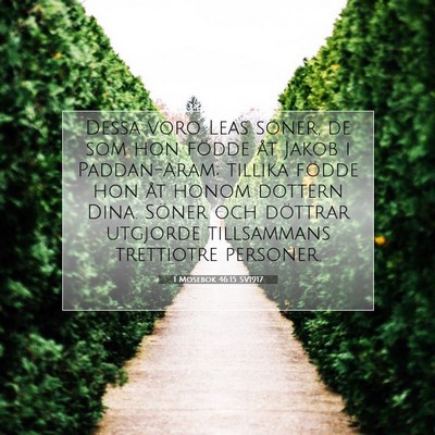 1 Mosebok 46:15 Bibelvers Förklarad