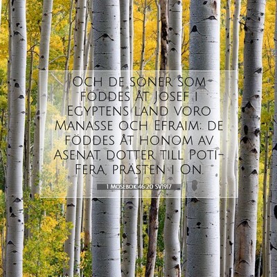 1 Mosebok 46:20 Bibelvers Förklarad