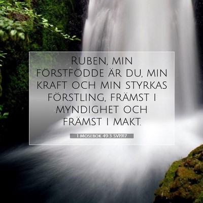 1 Mosebok 49:3 SV1917 Bild av bibelvers