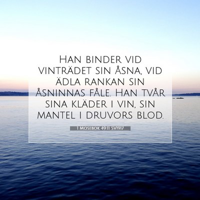 1 Mosebok 49:11 Bibelvers Förklarad