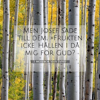 1 Mosebok 50:19 Bibelvers Förklarad