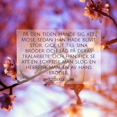 2 Mosebok 2:11 SV1917 Bild av bibelvers