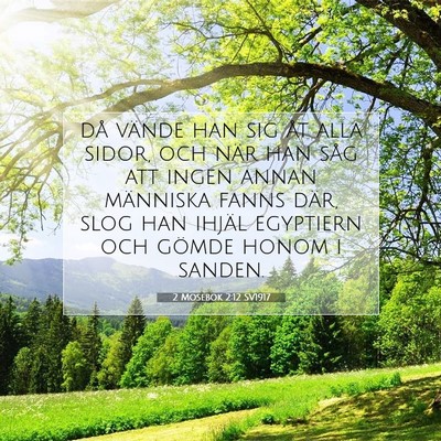 2 Mosebok 2:12 Bibelvers Förklarad