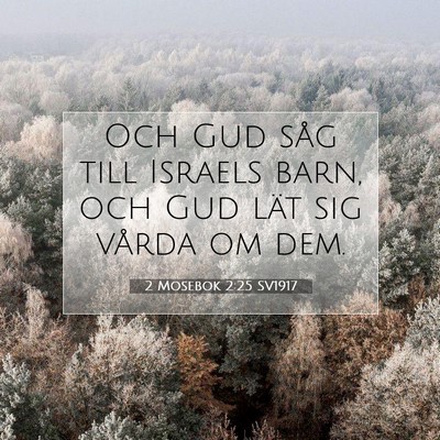 2 Mosebok 2:25 Bibelvers Förklarad