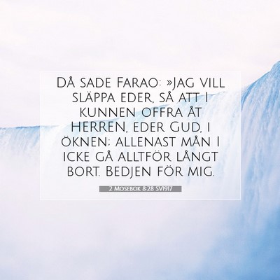 2 Mosebok 8:28 Bibelvers Förklarad