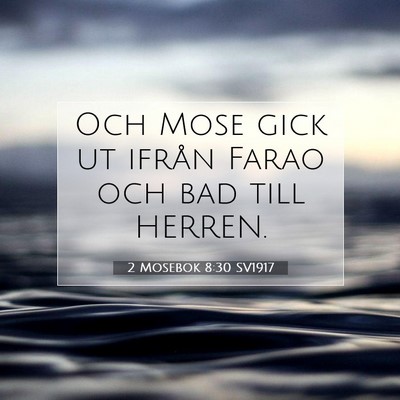 2 Mosebok 8:30 Bibelvers Förklarad