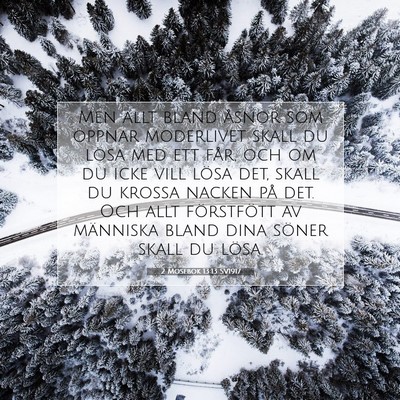 2 Mosebok 13:13 Bibelvers Förklarad