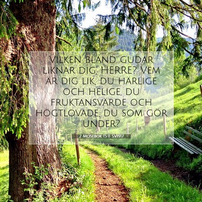 2 Mosebok 15:11 SV1917 Bild av bibelvers