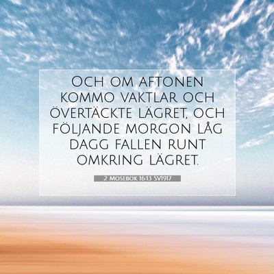 2 Mosebok 16:13 Bibelvers Förklarad