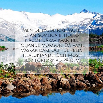 2 Mosebok 16:20 Bibelvers Förklarad