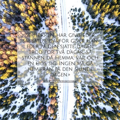 2 Mosebok 16:29 SV1917 Bild av bibelvers