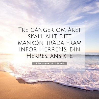 2 Mosebok 23:17 SV1917 Bild av bibelvers