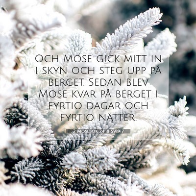 2 Mosebok 24:18 Bibelvers Förklarad