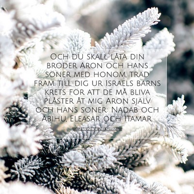 2 Mosebok 28:1 SV1917 Bild av bibelvers