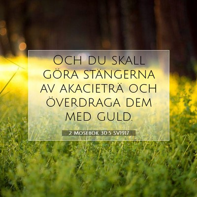 2 Mosebok 30:5 Bibelvers Förklarad