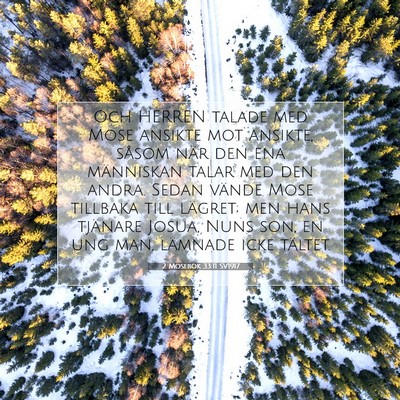 2 Mosebok 33:11 SV1917 Bild av bibelvers