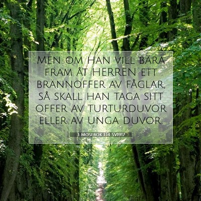 3 Mosebok 1:14 Bibelvers Förklarad