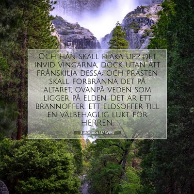 3 Mosebok 1:17 Bibelvers Förklarad
