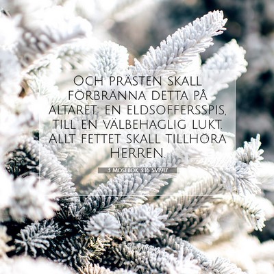 3 Mosebok 3:16 Bibelvers Förklarad