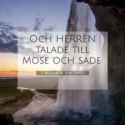3 Mosebok 5:14 Bibelvers Förklarad