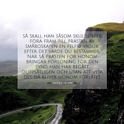 3 Mosebok 5:18 Bibelvers Förklarad