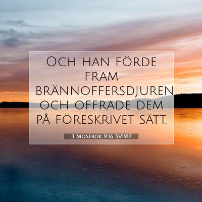 3 Mosebok 9:16 Bibelvers Förklarad