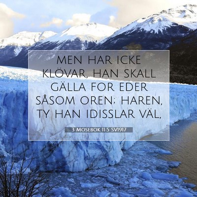 3 Mosebok 11:5 Bibelvers Förklarad