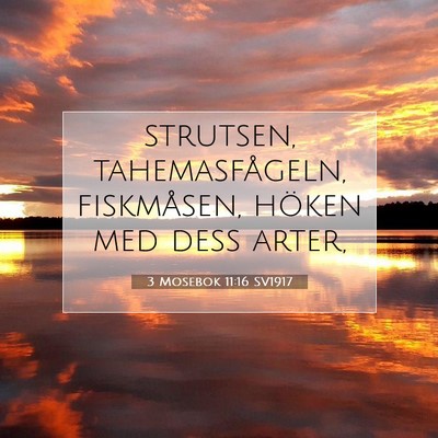 3 Mosebok 11:16 Bibelvers Förklarad